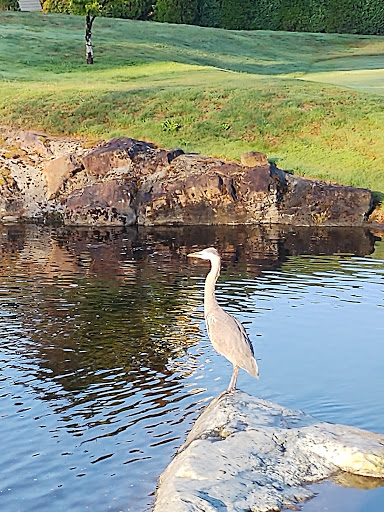 Golf Club «Echo Falls Golf Club», reviews and photos, 20414 121st Ave SE, Snohomish, WA 98296, USA