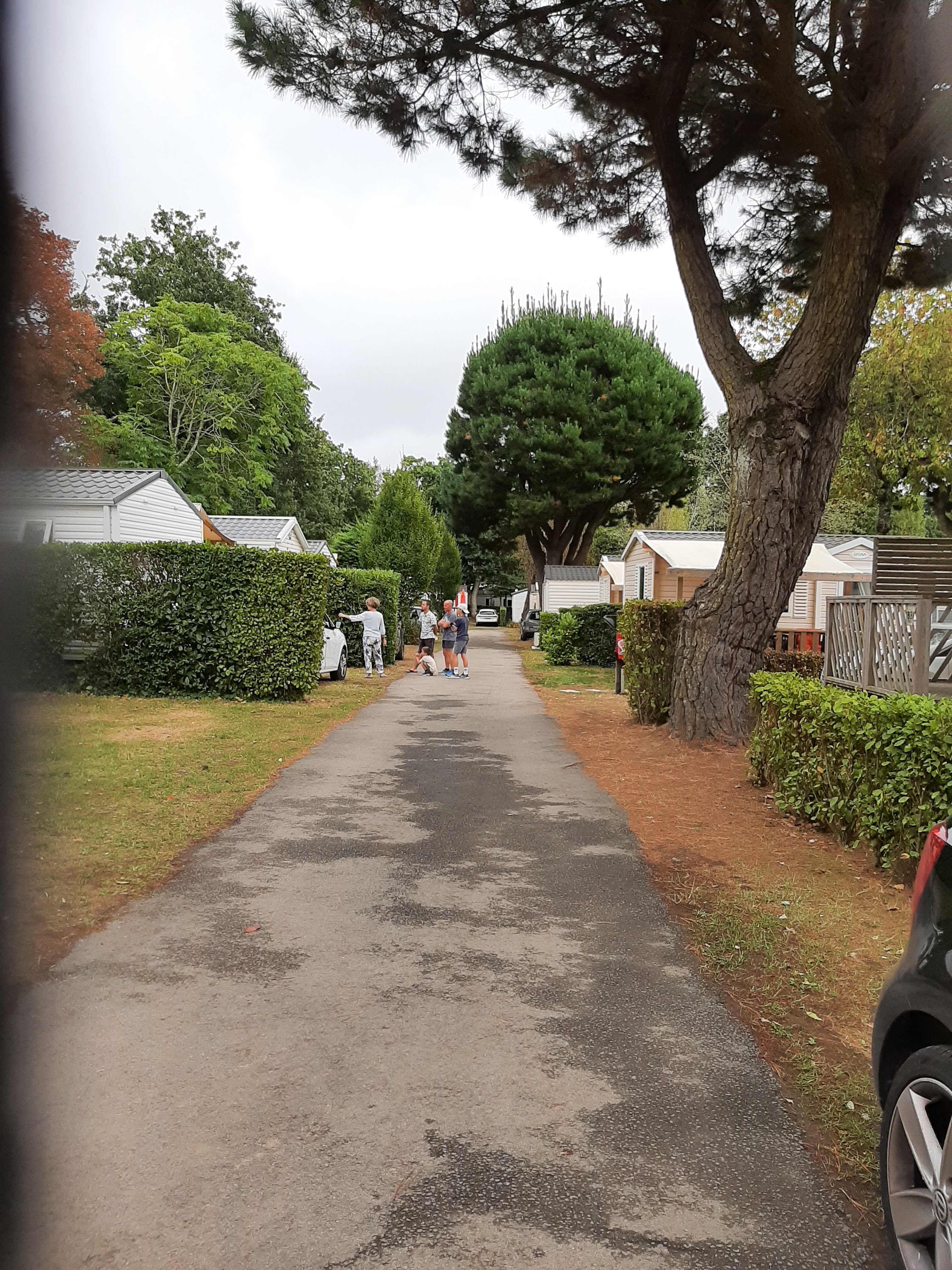 Photo n° 11 de l'avis de Gilles.a fait le 21/08/2022 à 10:46