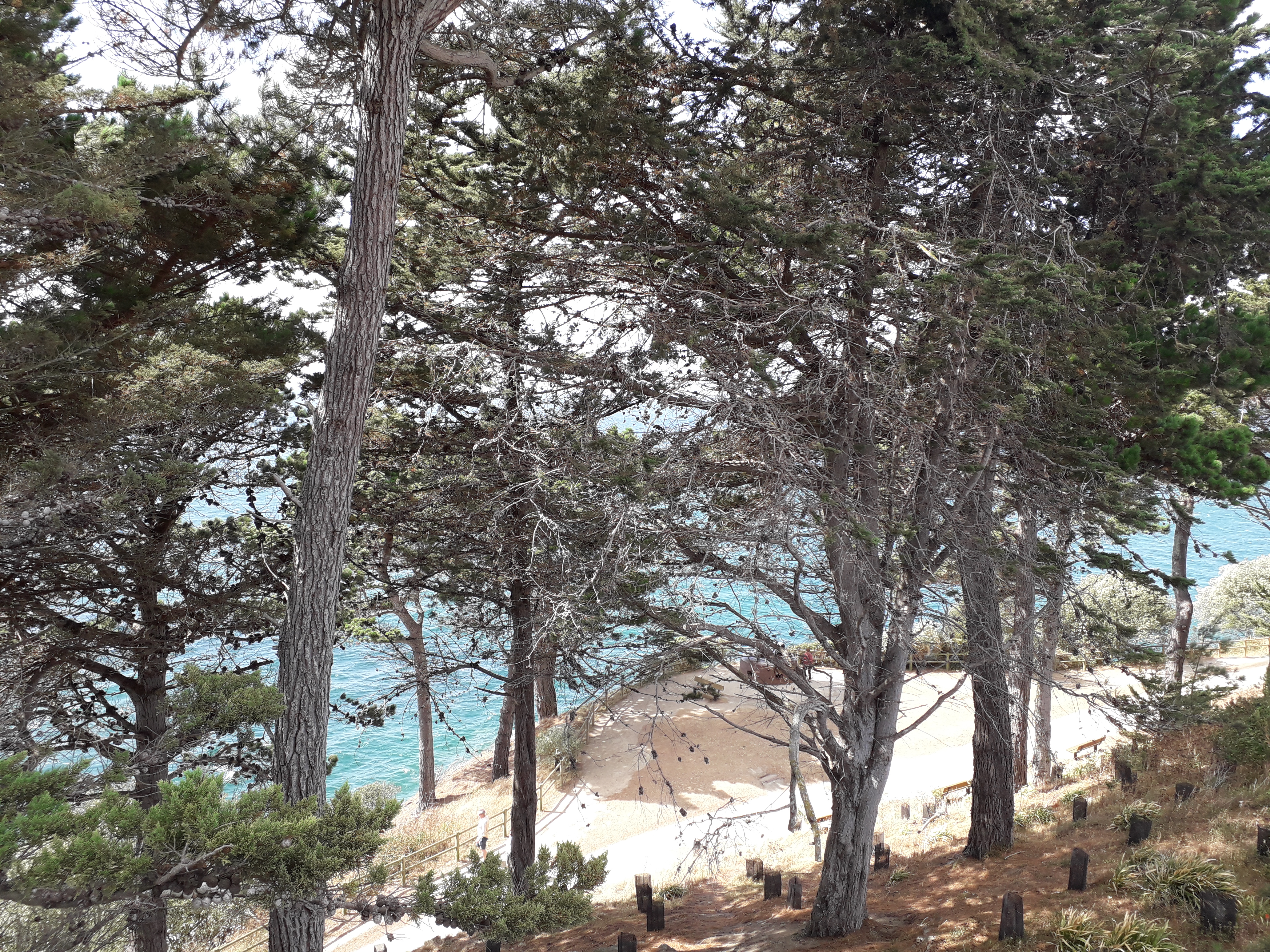 Photo n° 2 de l'avis de Déborah.a fait le 10/08/2019 à 12:59