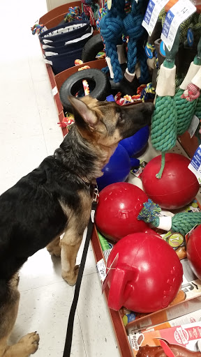Pet Supply Store «PetSmart», reviews and photos, 3081 S 5600 W, Salt Lake City, UT 84120, USA