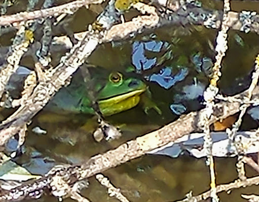 Park «Hillendale Park», reviews and photos, 19260 Clairmont Way, Oregon City, OR 97045, USA