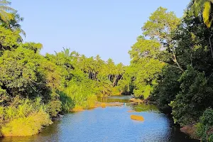 Kushavati River image