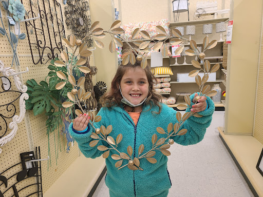 Craft Store «Hobby Lobby», reviews and photos, 555 Center Dr NW, Grand Rapids, MI 49544, USA