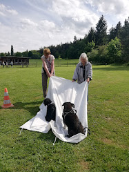 Kynologische Gesellschaft Winterthur