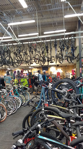 Camping Store «REI», reviews and photos, 12634 N Paradise Village Pkwy W, Phoenix, AZ 85032, USA