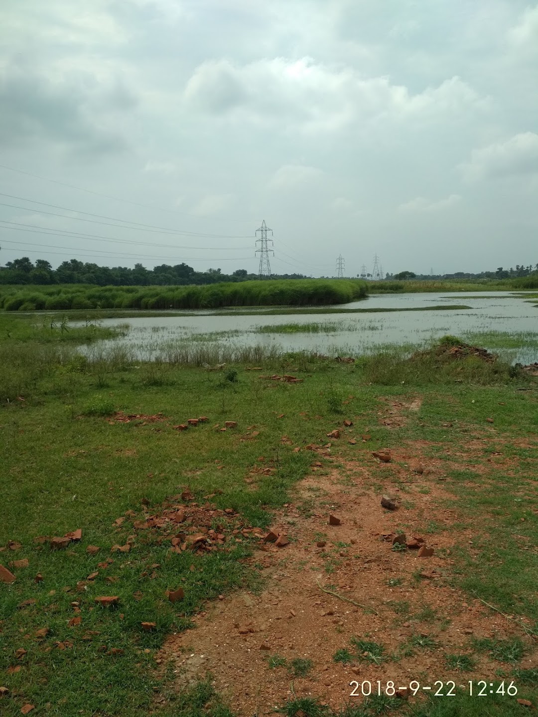 श्री राम ब्रिक्स उद्योग