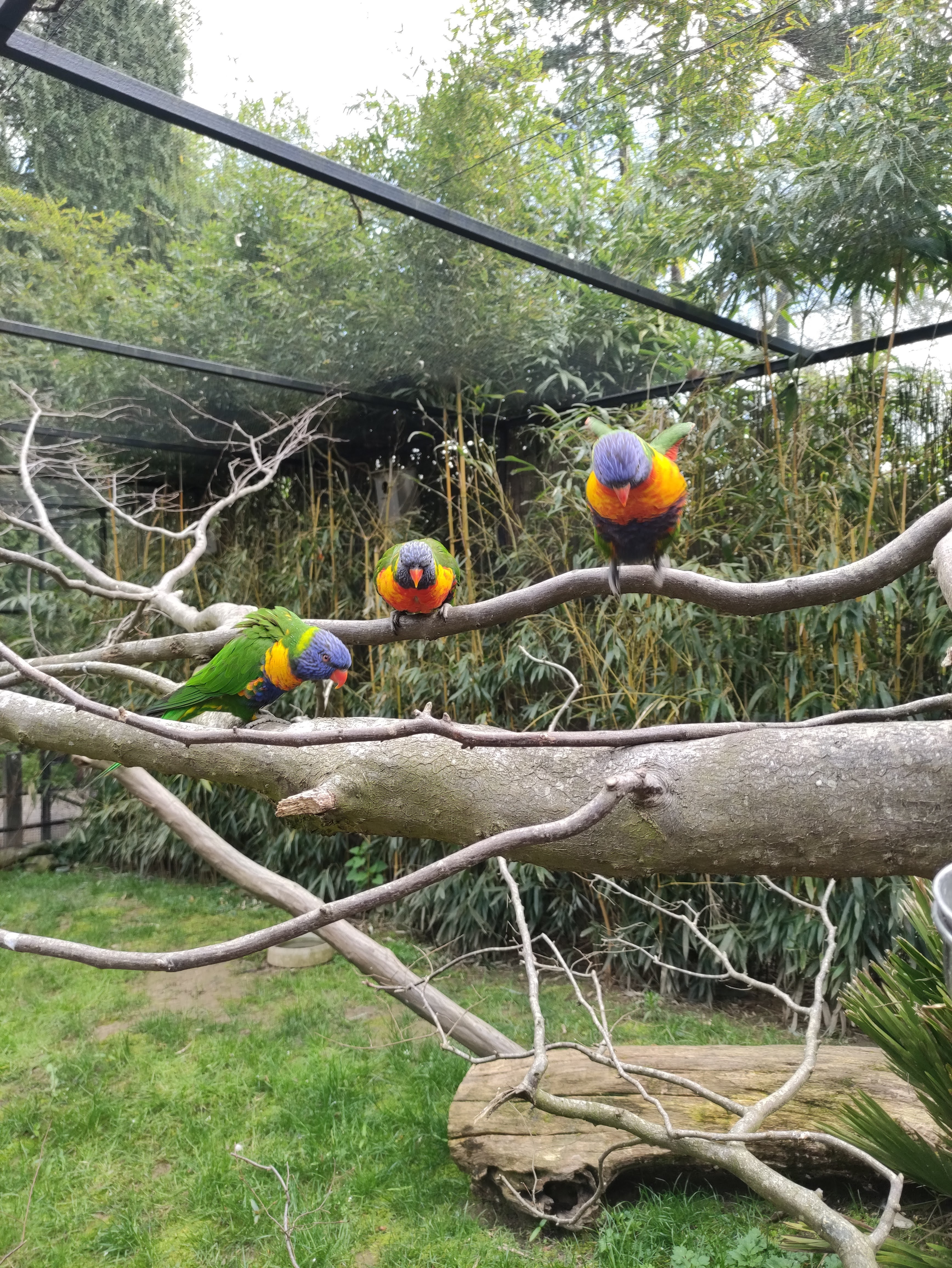 Photo n° 3 de l'avis de mathilde.a fait le 25/04/2023 à 18:21