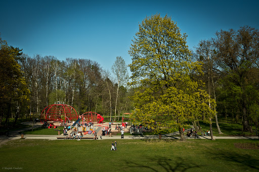 Park im. Bolesława Chrobrego