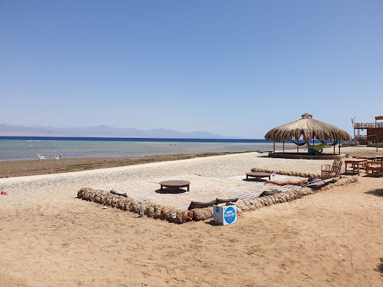 Dana beach
