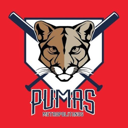 Escuela de Béisbol Pumas Metropolitanos