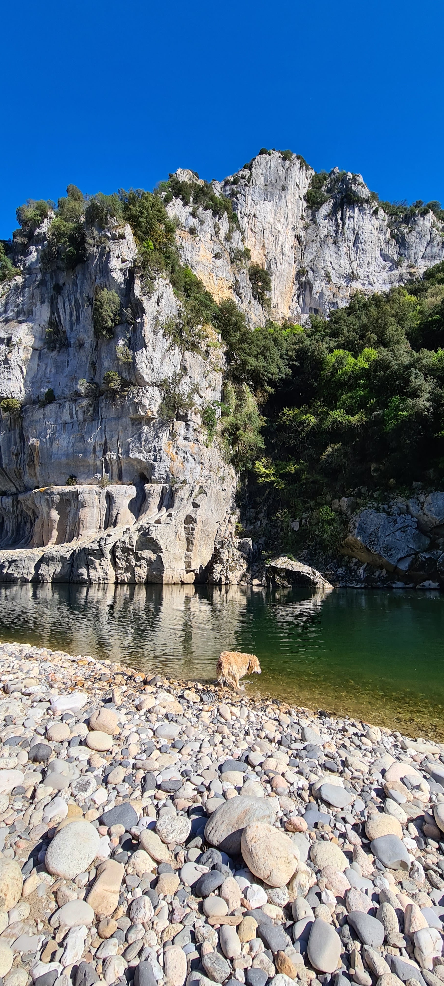 Photo n° 4 de l'avis de Laurenzo.7 fait le 17/04/2022 à 14:33