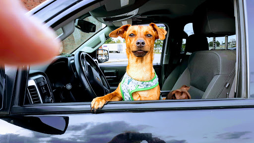 Discount Store «Big Lots», reviews and photos, 126 Boston St, Lynn, MA 01904, USA