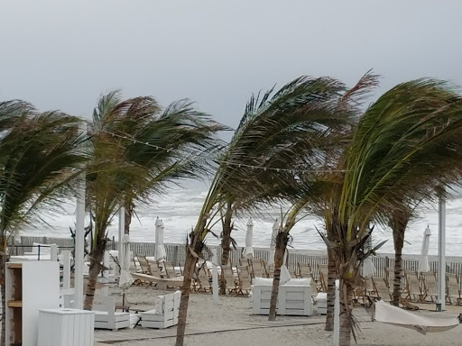 Tourist Attraction «Atlantic City Boardwalk», reviews and photos, 3109 Boardwalk, Atlantic City, NJ 08401, USA