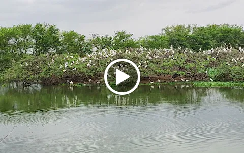 Uppalapadu Birds Lake image