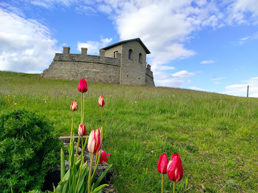 Erlebnisbauernhof und Wildgehege unter Schramberg, 