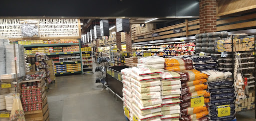 Supermarket «Myrtle Avenue Food Bazaar Supermarket», reviews and photos, 1102 Myrtle Ave, Brooklyn, NY 11206, USA