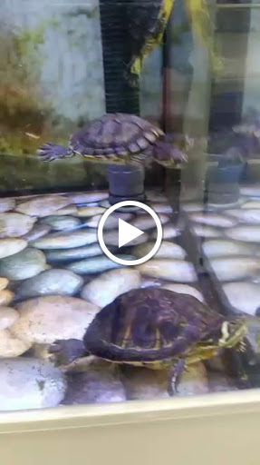 Pet Supply Store «Petco Animal Supplies», reviews and photos, 2687 Countryside Dr, Turlock, CA 95380, USA