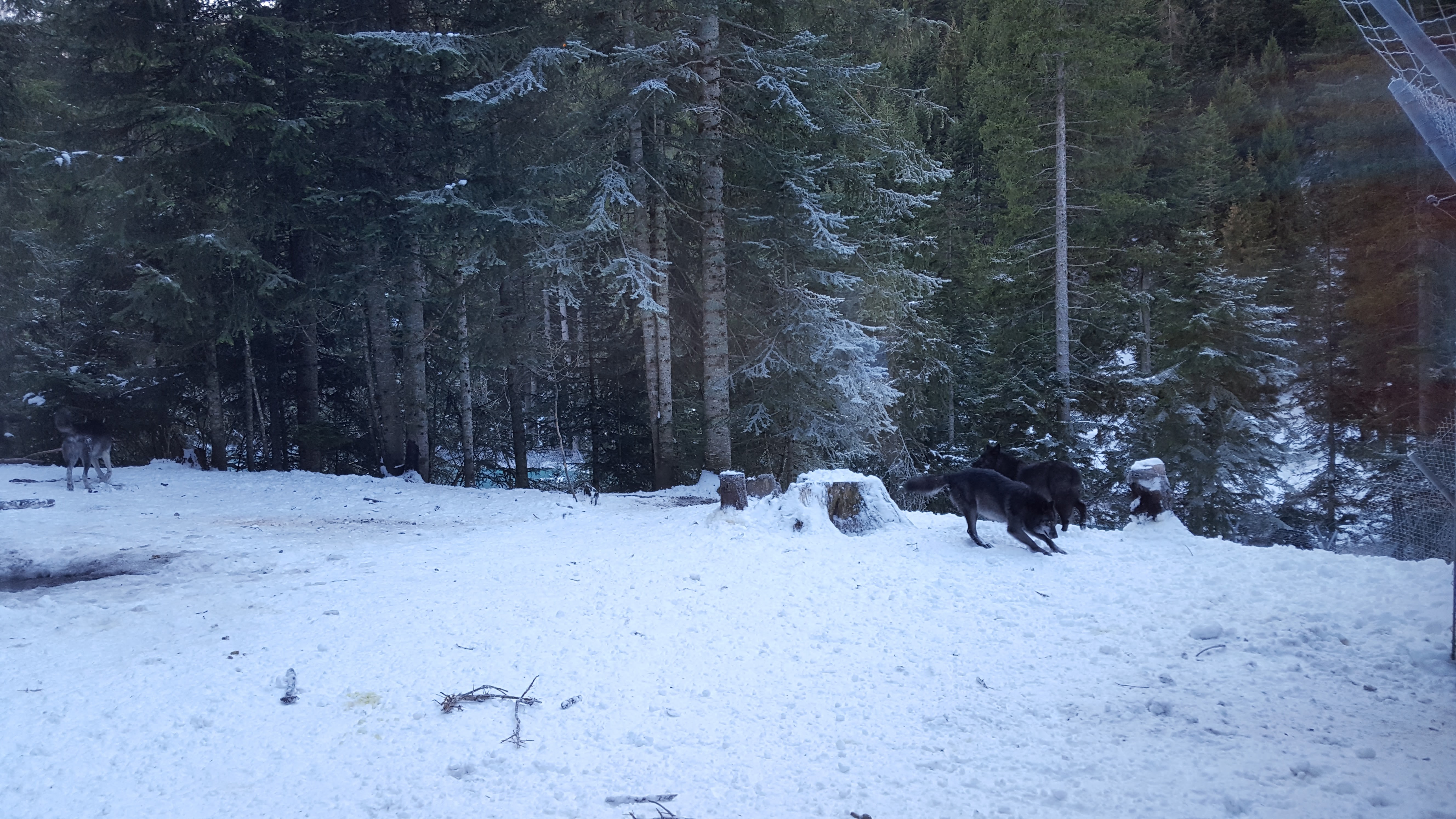 Photo n° 1 de l'avis de Pacôme.l fait le 16/01/2017 à 15:09
