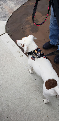 Aquarium Shop «Something Fishy Inc.», reviews and photos, 4764 State Rd, Cleveland, OH 44109, USA