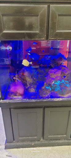 Pet Supply Store «Petco Animal Supplies», reviews and photos, 13691 Ridgedale Dr, Minnetonka, MN 55305, USA