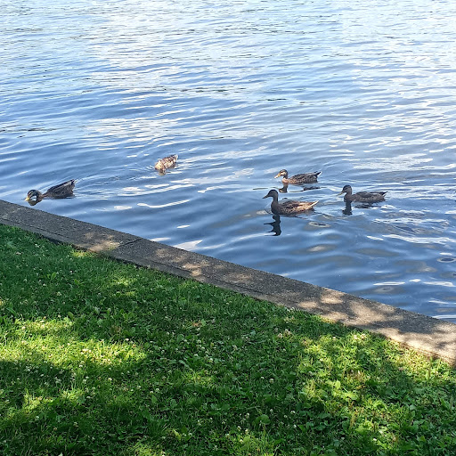 Park «Hopatcong State Park», reviews and photos, 260 Lakeside Blvd, Landing, NJ 07850, USA