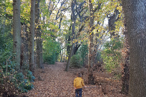 Pleasant point cemetery hill walkway.