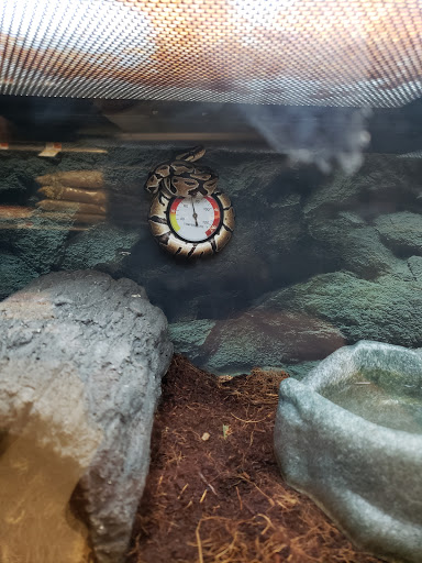 Pet Supply Store «Petco Animal Supplies», reviews and photos, 1483 NJ-23 #14b, Kinnelon, NJ 07405, USA