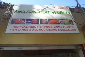 Amazon Fish World image