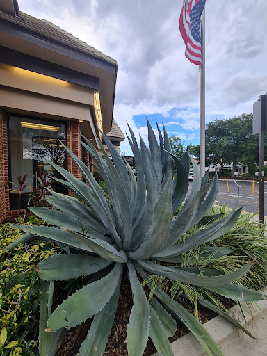 Fast Food Restaurant «Chick-fil-A», reviews and photos, 1141 Saxon Blvd, Orange City, FL 32763, USA