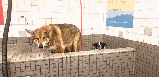 Pet Supply Store «Pet Food Express», reviews and photos, 5829 Lone Tree Way, Antioch, CA 94531, USA