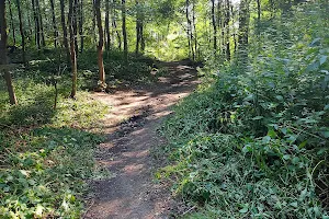 Volkspark Sodingen image