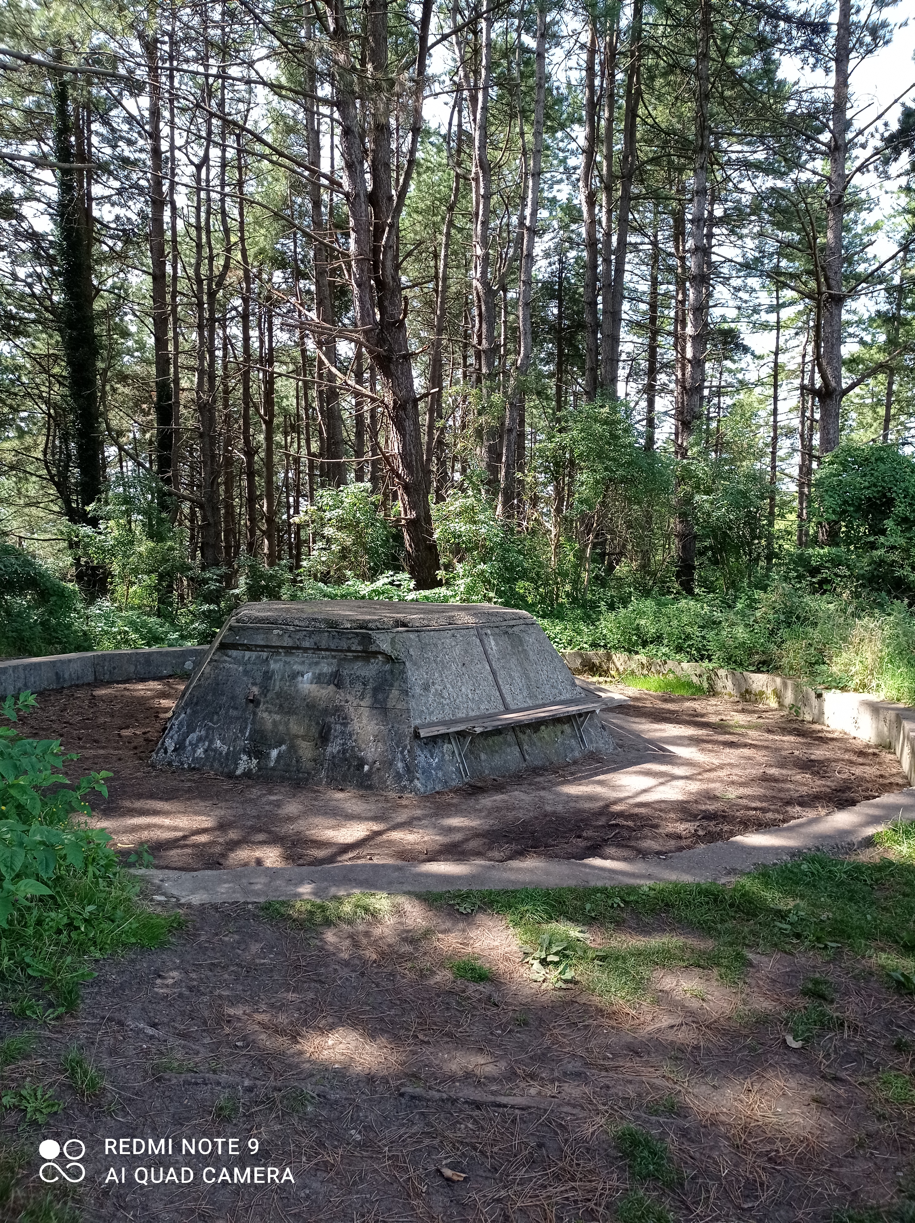 Photo n° 16 de l'avis de Michael.u fait le 15/08/2021 à 18:06