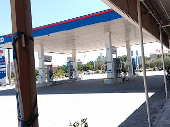 Teco-çınar Petrol