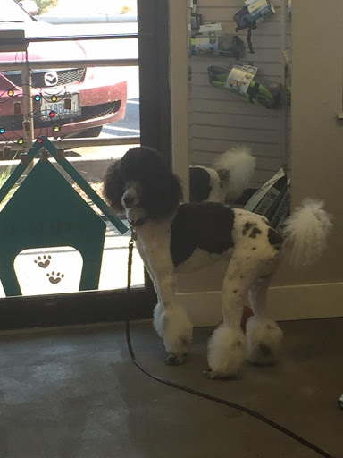 Pet Groomer «All For Paws», reviews and photos, 246 W Manson Hwy #6, Chelan, WA 98816, USA