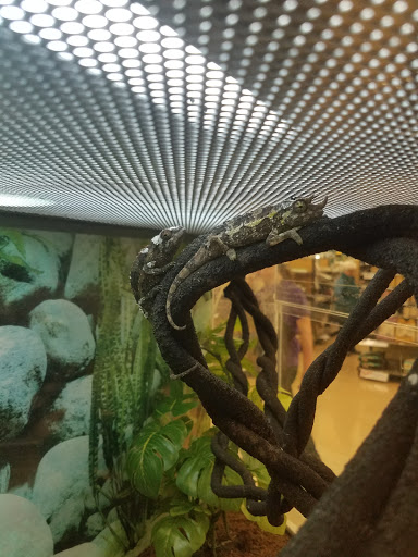 Pet Supply Store «Petco Animal Supplies», reviews and photos, 3835 Phoenix Ave, Fort Smith, AR 72903, USA