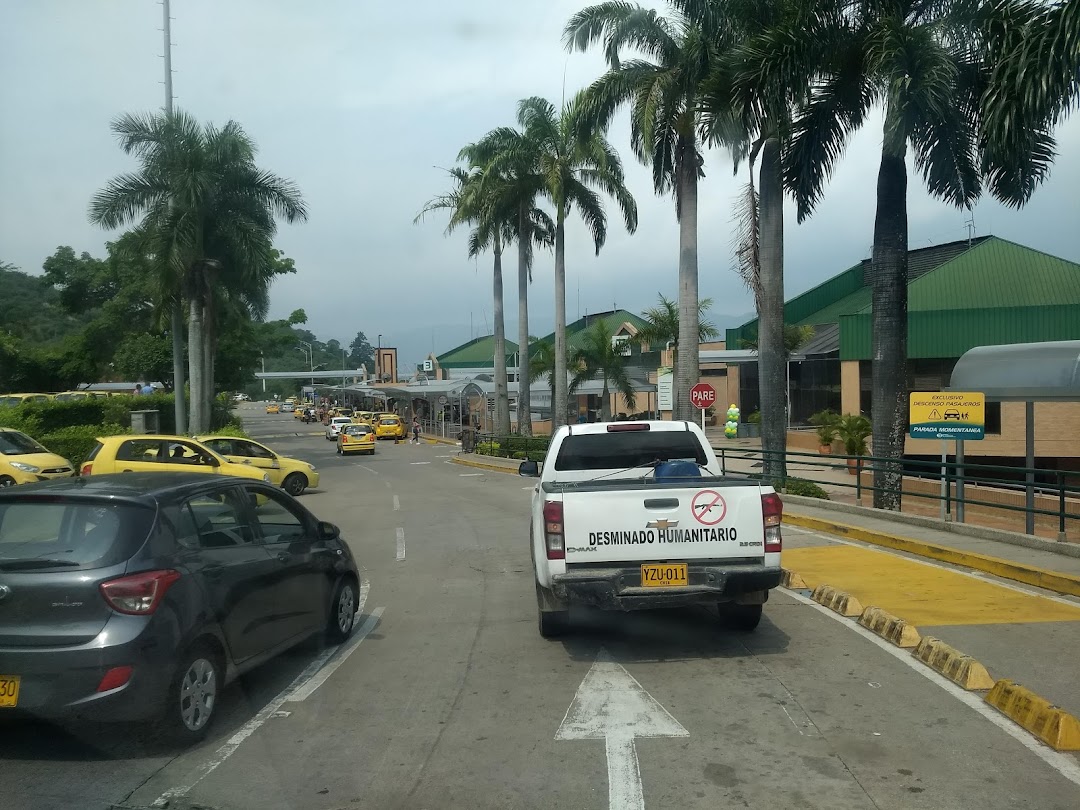 Davivienda Terminal Bucaramanga.