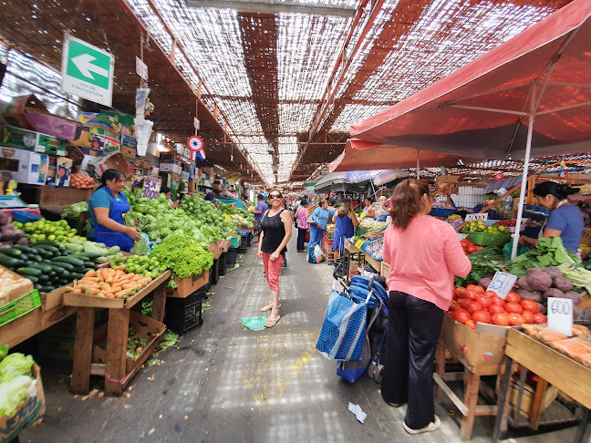 Opiniones de Terminal ASOAGRO en Arica - Mercado