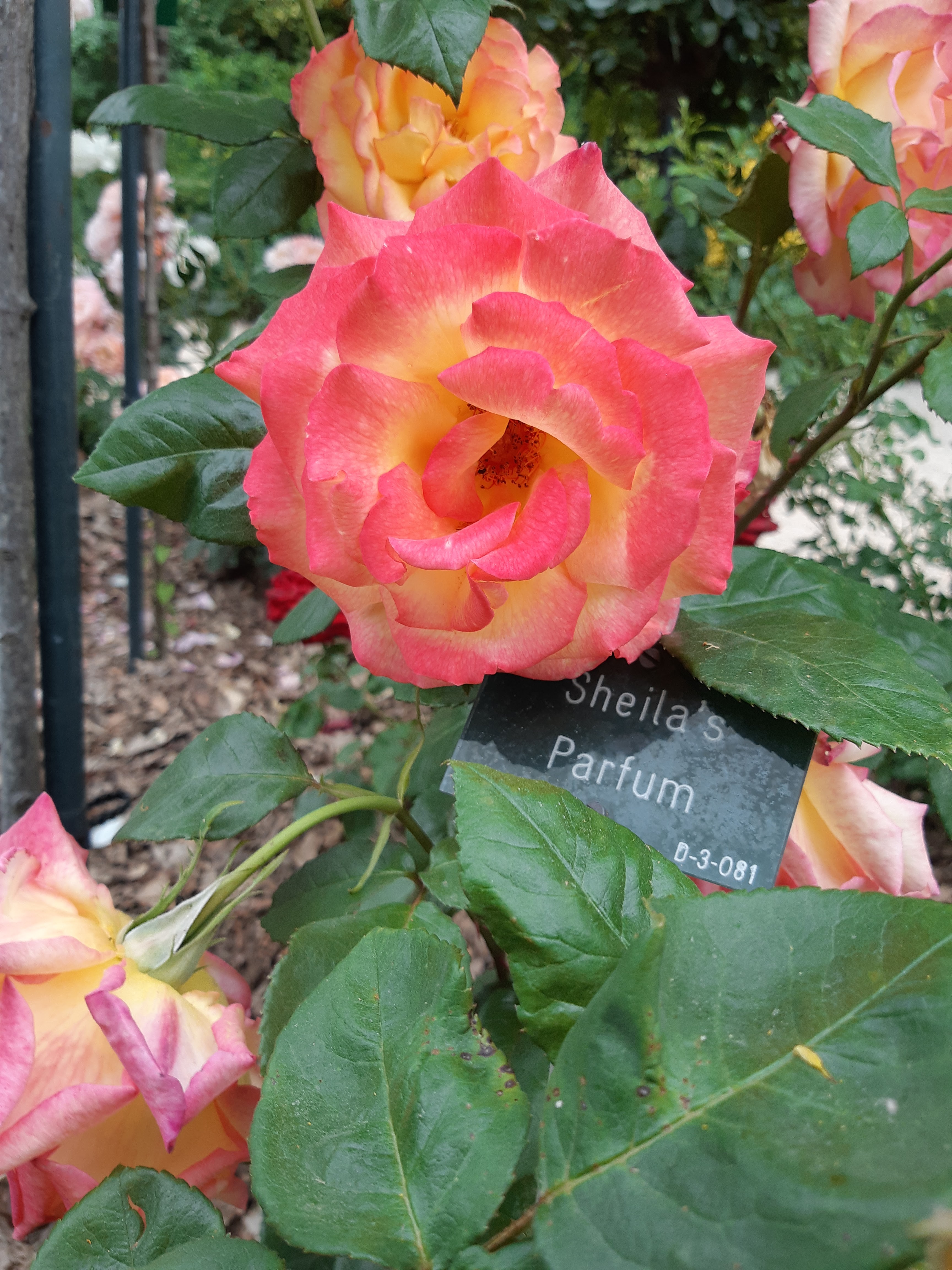 Photo n° 8 de l'avis de Adrien.a fait le 16/06/2021 à 16:36