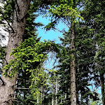 Photo n°2 de l'avis de Isabella.u fait le 29/05/2021 à 05:59 sur le  Villa San Michele à Lucolena