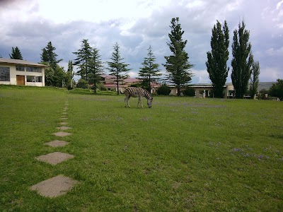 Photos of Sir Harry's Lodge