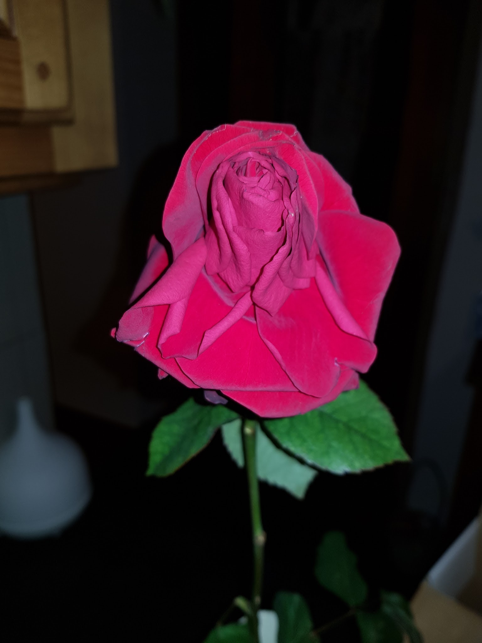 Photo n° 2 de l'avis de Anne.U fait le 15/02/2018 à 06:06
