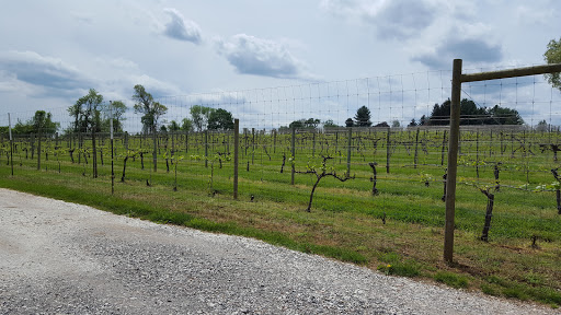 Winery «Basignani Winery», reviews and photos, 15722 Falls Rd, Sparks Glencoe, MD 21152, USA