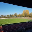 Volksbankstadion