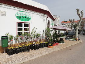 Casa das Plantas (Ricardo Palma)