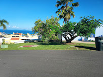 Las Palmas Lawn Service - Photo 5 - Car repair in , Carolina