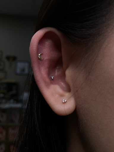 Explore small phoenix tattoo ideas, creative tattoo ideas in Houston, available at Body Art Piercing Studio