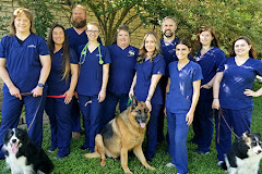 Loop 363 Animal Hospital