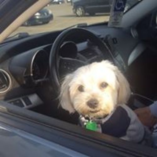 Pet Store «For Healthy Pets!», reviews and photos, 5165 Atlanta Hwy, Montgomery, AL 36109, USA