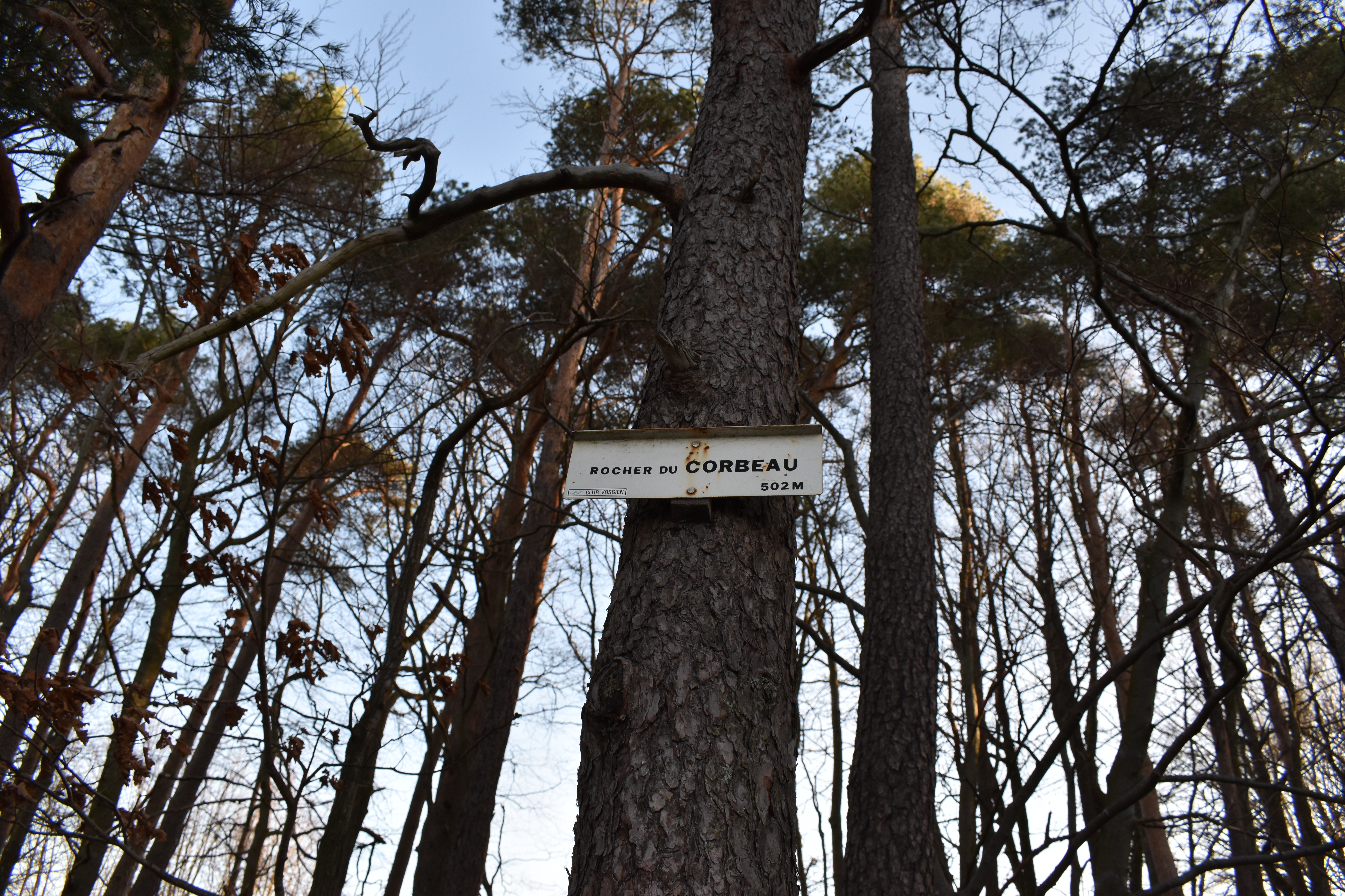 Photo n° 2 de l'avis de raphael.o fait le 14/03/2019 à 05:10