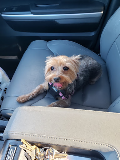 Pet Store «Back To Nature Pets & Grooming», reviews and photos, 110 N Dupont Hwy, New Castle, DE 19720, USA